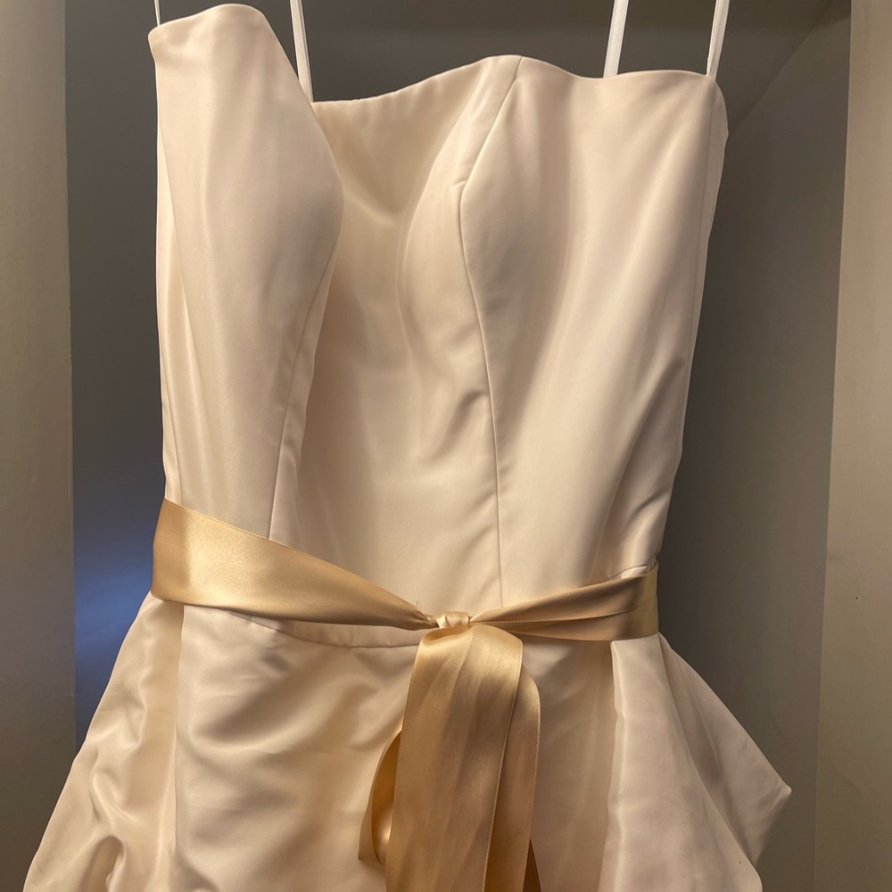 Beautiful champagne colored wedding gown with sash